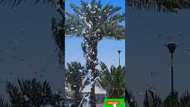 #fountain water view video by #nature 92 смотреть онлайн