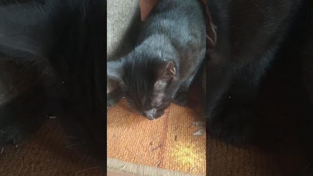 19.20.2023?ГЛАВНОЕ ВОВРЕМЯ ВЫЛЕЗТИ ИЗ ПОД ЗАБОРА? смотреть онлайн