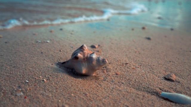 Laid Back - Sunshine Reggae (Inache Remix)