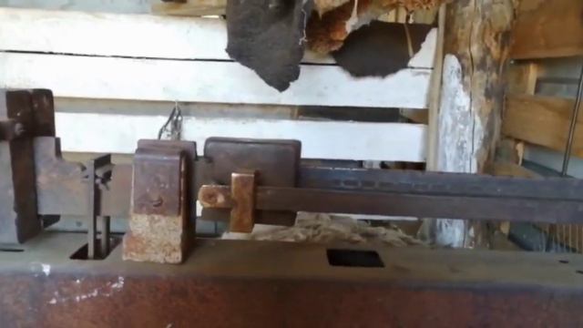 эдильбаевские овцы /баранчик возраст 1,2 месяца, вес 110 кг. смотреть онлайн