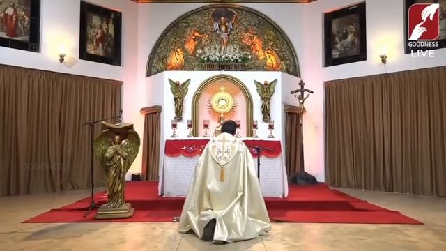 Divine Mercy Healing Adoration | Fr Augustine Vallooran | 1 June | Divine Colombo смотреть онлайн