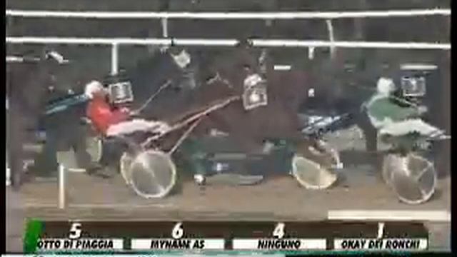 11/12/2013, Firenze , Premio Liss Op C.naz. смотреть онлайн