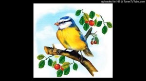 "Синичкин календарь",  Виталий Бианки . Сказка.