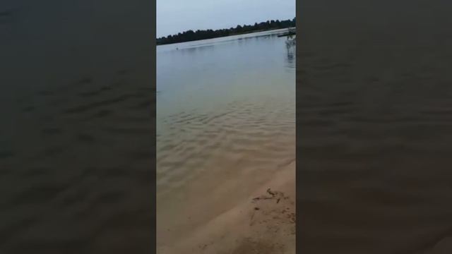 12 часов на Мутном карьере. 1 часть. смотреть онлайн