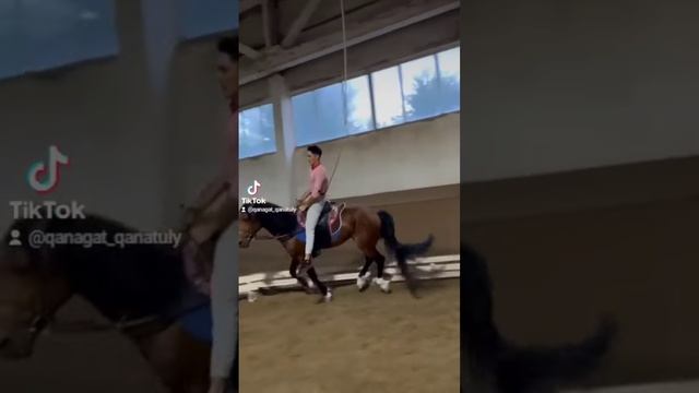 джигитовка ?? смотреть онлайн