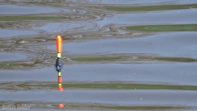 ЛУЧШАЯ РЫБАЛКА!!! Ловля карпа на поплавок крупным планом. Весна. Best fishing 2019 смотреть онлайн