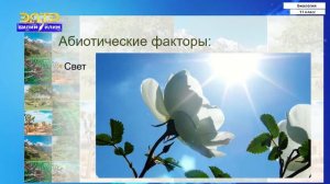11-класс | Биология | Абиотические факторы среды и их влияние на живые организмы