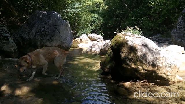 ТИХОХОД. Лёгкий маршрут по Кокозке.