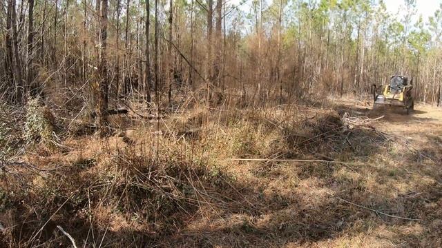 GROUND BURN! BIG MUNCHIE TRANSFORMS A CONTROLLED BURN FOR DEER! смотреть онлайн