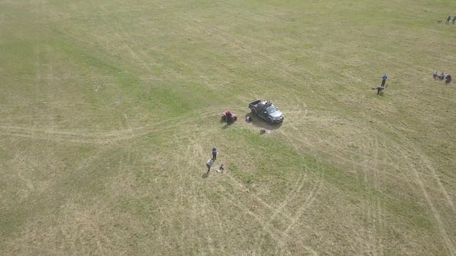 Забег Каспера Ван Дина, 4 мес. Суханово. Курсинг на русском просторе. смотреть онлайн