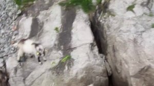 Lysefjord // The Tall ships race [30.07.2011]