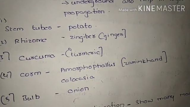 MORPHOLOGY OF FLOWERING PLANTS смотреть онлайн