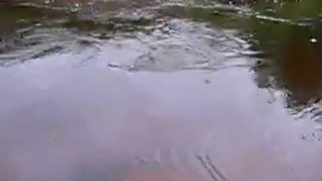 Рыбалка Форель смотреть онлайн