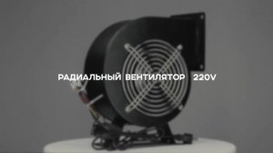 Вентилятор DF «УЛИТКА» 220 В