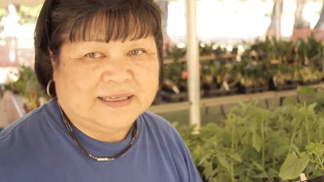 Plants Flowers and Vegetables - Okinawan Festival смотреть онлайн
