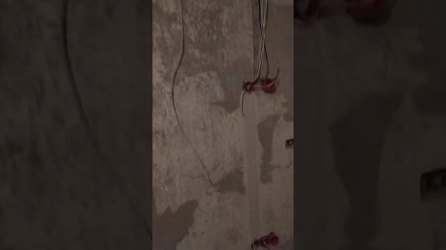 Строительство с надежностью и профессионализмом