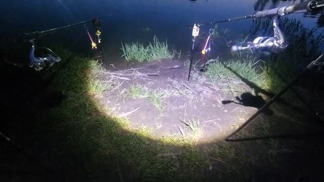 ?РЫБАЛКА В КОКИНО! ПРИЕХАЛ НА ОСЕТРА? А ПОПАЛ НА КРУПНОГО КАРПА! смотреть онлайн