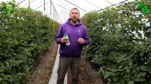 ВСЕ ПОДКОРМКИ ЭФФЕКТИВНЕЕ СРАЗУ В 10 РАЗ! Всего 1 ложка средства Гелиос из созвездия BioDSO.