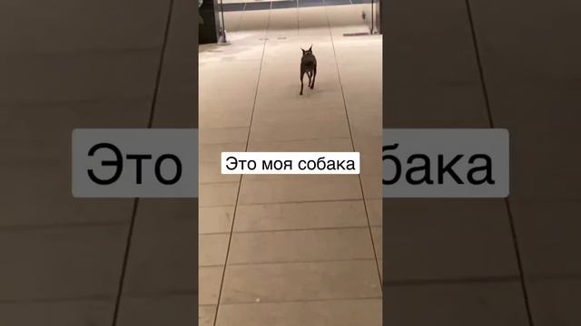 Водостойкая тушь нужна, да? смотреть онлайн