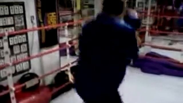 ONION Boxing Equipment Bouncing Punching Bag смотреть онлайн