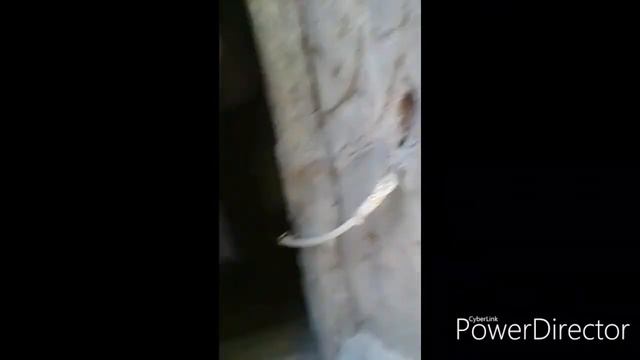 Париж/Диснейленд/Мир Диснея/Disneyland Paris/World Disney смотреть онлайн