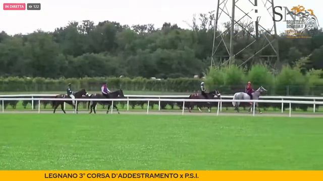 3^ LEGNANO 3° CORSA D'ADDESTRAMENTO x P.S.I. 1 8 2021 смотреть онлайн