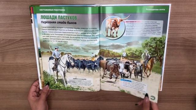 Детская энциклопедия. Лошади мира