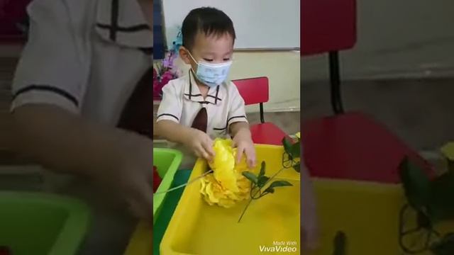 Hoby 3years2months Thematic Programme Sort flowers -24Jan2021 Tadika Perl ing柏林幼儿园 смотреть онлайн