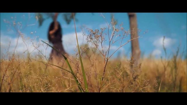 ВАСИЛЬКИ смотреть онлайн