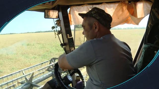 «Постфактум» об экспорте сельхозпродукции и лоббизме Томенко смотреть онлайн