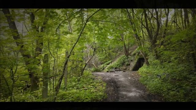 Science of fear. Аутофобия. Трейлер к ролику "Одиночество" смотреть онлайн