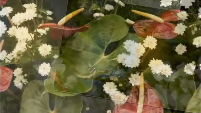 Красивый клип- поздравление с 8 марта от мужчин ஐ ♥ ღ ஐ ♥ ღ ஐ Красивие поздравление для милых дам смотреть онлайн