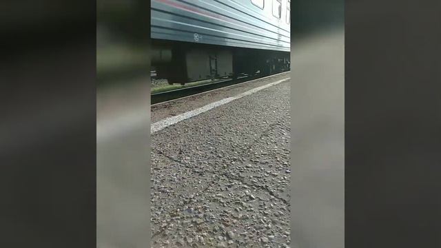 Разлука ! Долгожданная встреча! Пудель ЧИП смотреть онлайн