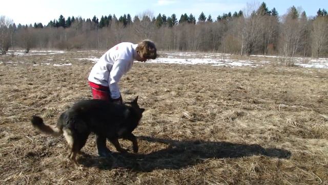 Цирковые номера Выпуск первый. Восьмёрка смотреть онлайн
