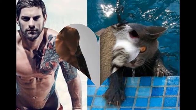 КоТы И лЮдИ оЧеНь ПоХоЖи•¥•€••• смотреть онлайн