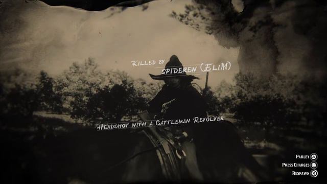 (PS4 RDO) Ugh, It's One of Those Gross Griefers смотреть онлайн