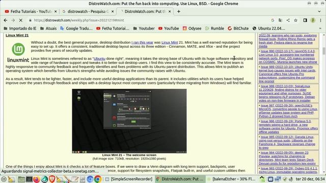 Linux Mint 21 RECOMENDADO pelo Distrowatch. Sem dúvida a melhor distro Desktop de uso geral do ano смотреть онлайн