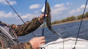 ТРОЛЛИНГ НА  ВОБЛЕРЫ GERMAN "GG BANDIT"