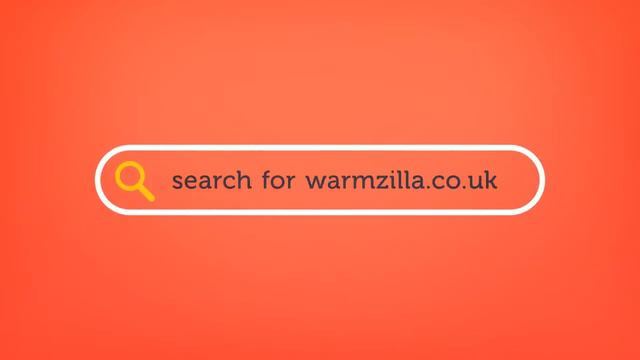 Vaillant F13 Error Code