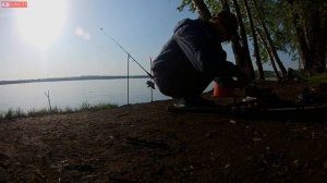 Ловля карася на гороховую мастырку