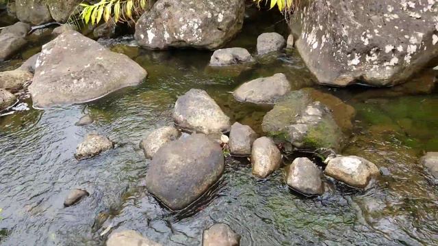 Stream Swiriling Around Boulders смотреть онлайн