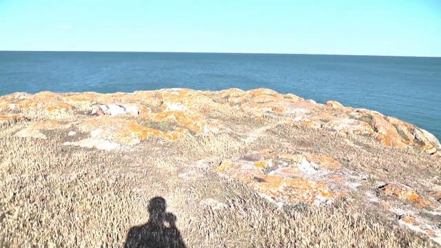 Крым Керчь Казантип Трасса Таврида. Последний прощальный танец на Злачной ЗМЕИНОЙ ПАЖИТИ смотреть онлайн