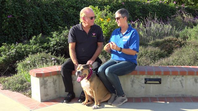 AnimalZone - Season 3, Episode 9 Shadow's Fund & the Santa Barbara Humane Society смотреть онлайн