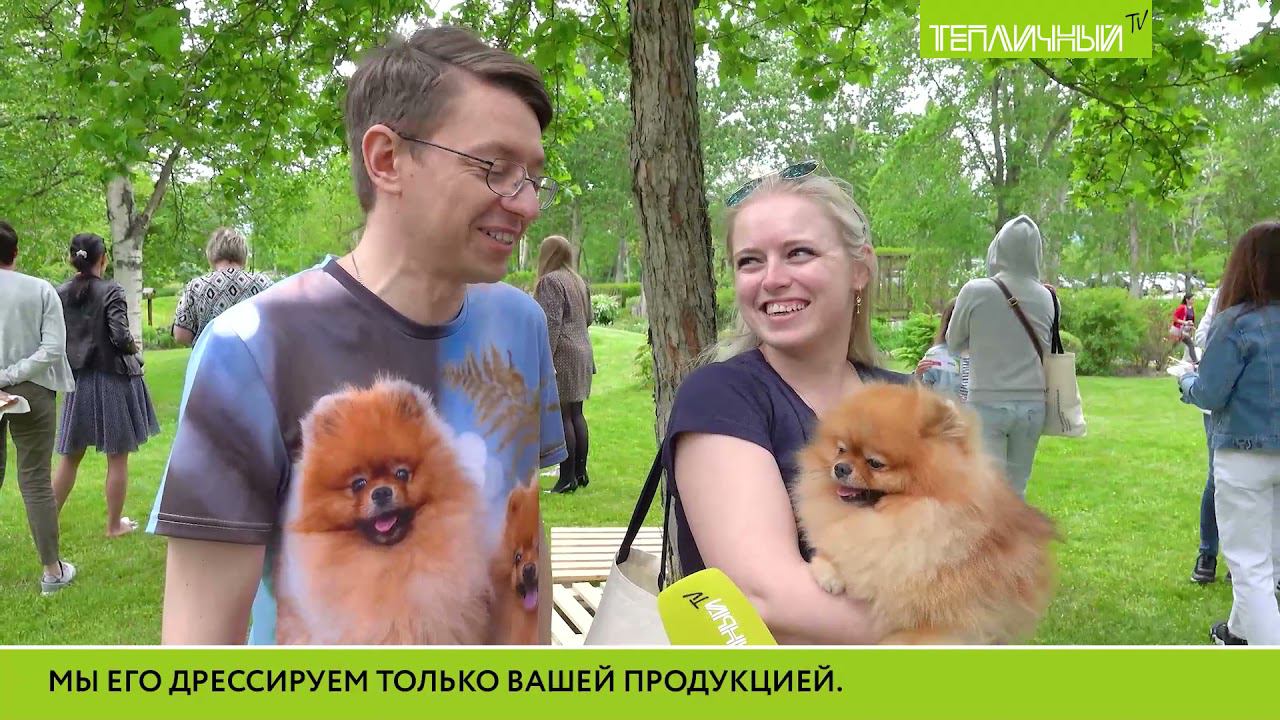 Хомячащие овощи "Тепличного" четвероногие собрали для приюта 10 тысяч рублей смотреть онлайн