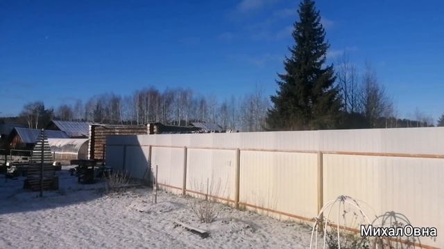 Готовимся к первой зимовке... Укрываю розы, юкку, туи, кипарисовик, ели... Топлю печь... смотреть онлайн
