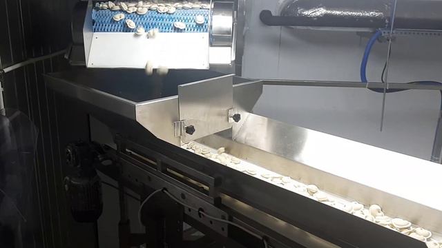 Пельменная линия 500-1000кг в час смотреть онлайн