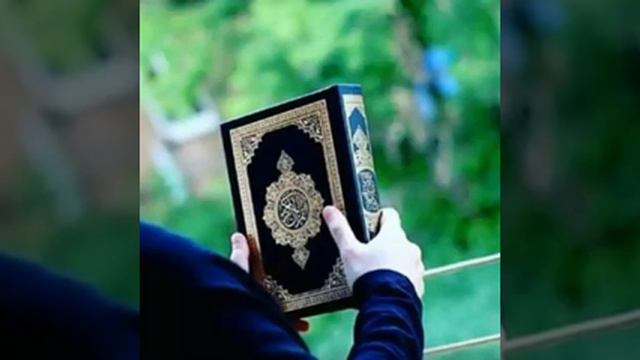 Хочи Мирзо гуш кунен смотреть онлайн