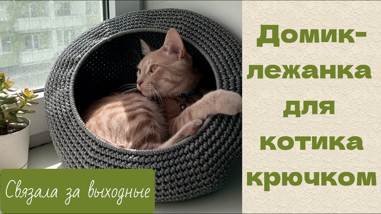 Лежанка-гнездо для кошки. Питомец точно будет в восторге! смотреть онлайн