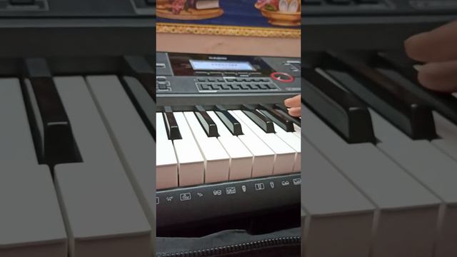 Mera aapki kripa se sab kaam horaha hai tone on Casio CT-X 9000IN Keyboard смотреть онлайн