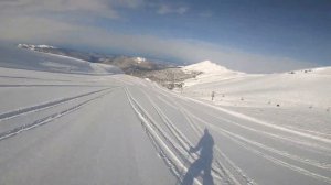 Трасса ПРИМУЛА. Катим по пухлячку.